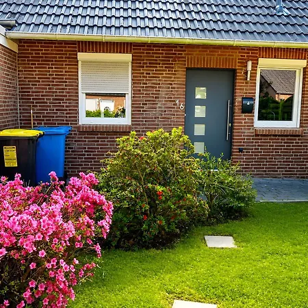 Schwalbe Semesterbostad